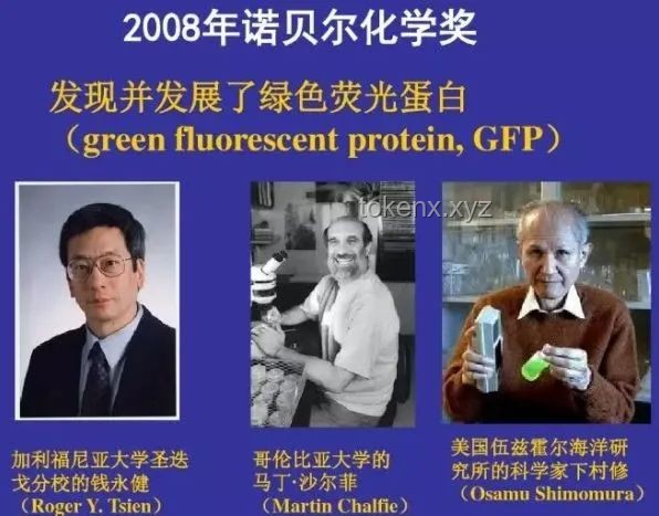 **特朗普政策与钱学森故事的对比分析：人才政策与国家利益**
